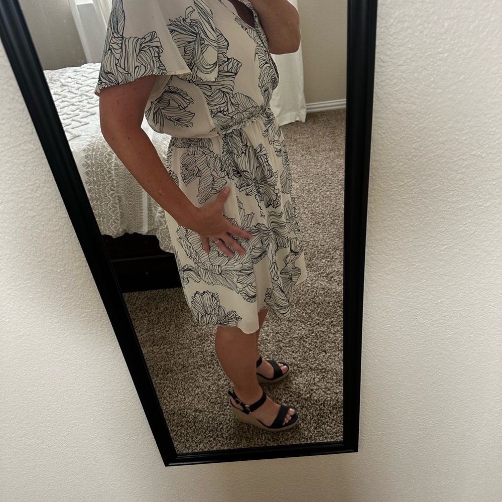 Cream & Black Chiffon Dress